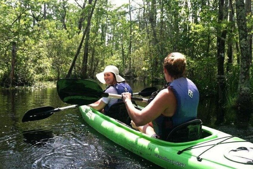 Alligator River Kayak Adventure 1