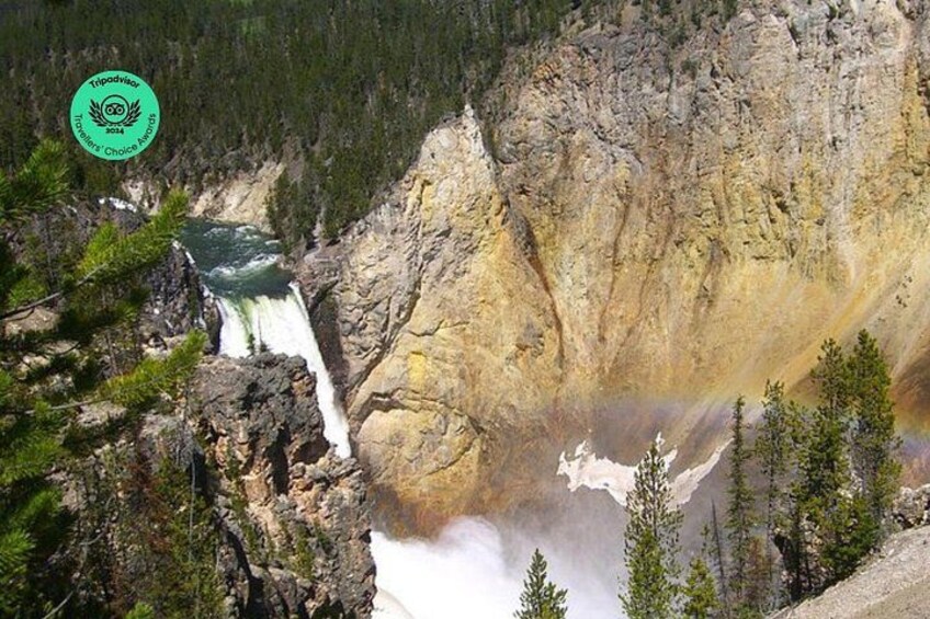Una cascata si getta da una scogliera rocciosa, circondata da una fitta foresta. 1