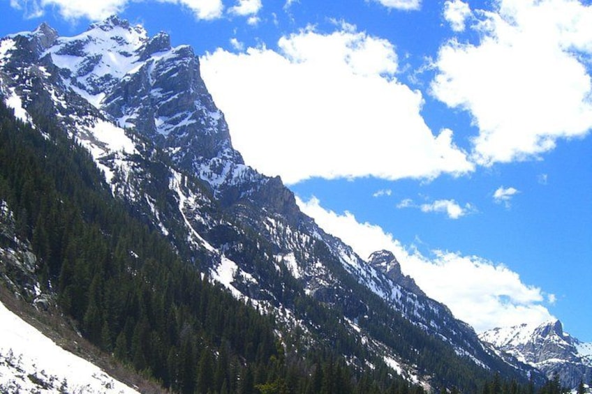 A snow-capped mountain range with dense forested slopes under a partly cloudy sky. 5
