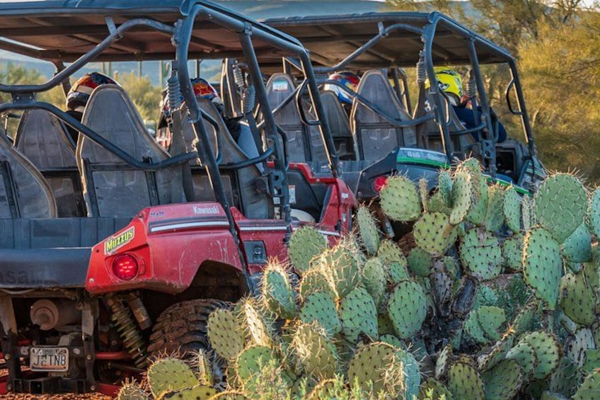 Guided Arizona Desert Tour by UTV - Centipede Tour 1