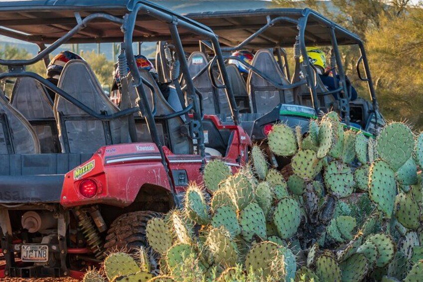 Veicoli fuoristrada parcheggiati in un deserto, con cactus sullo sfondo. 1