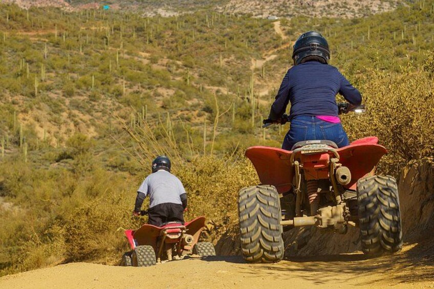Guided Arizona Desert Tour by ATV - Centipede Tour 3