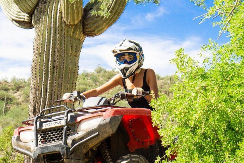 Guided Arizona Desert Tour by ATV - Centipede Tour 2