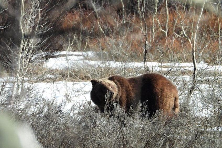 Grand Teton National Park - Sunrise Tour from Jackson Hole 3