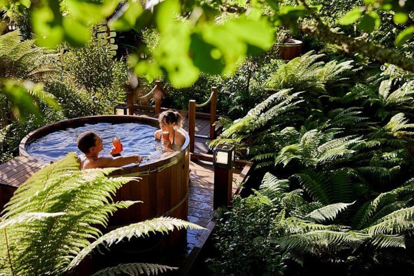 Rotorua Private tour with Hotspring 1