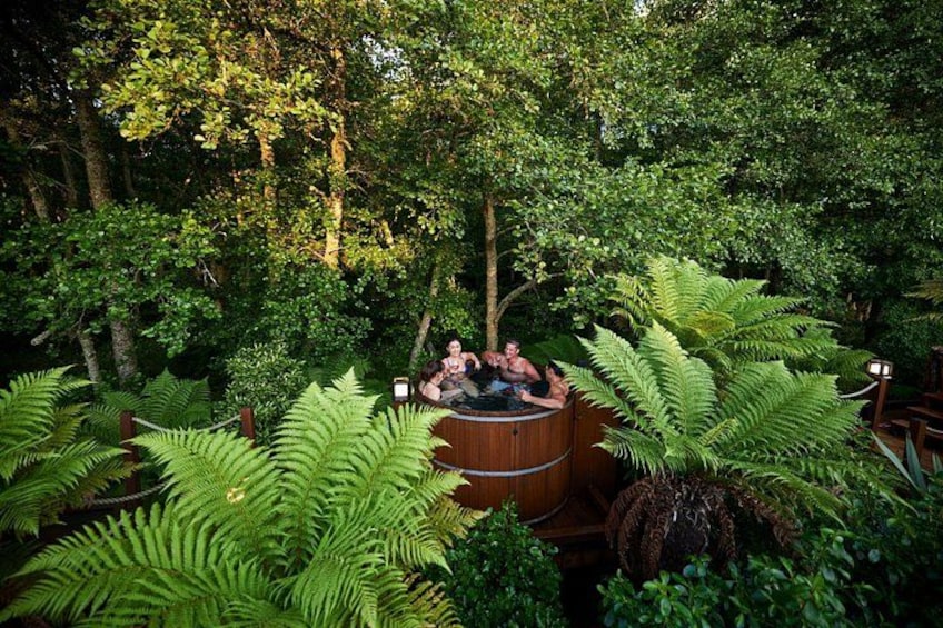 Rotorua Private tour with Hotspring 2