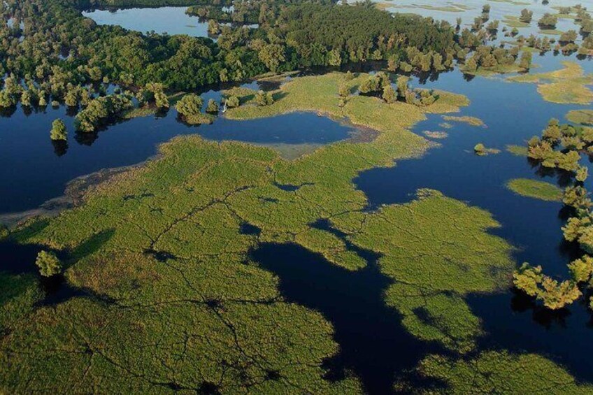 Kopački Rit Nature Park