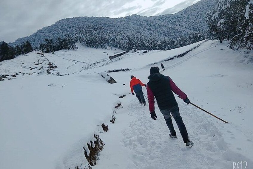 Nagtibba Trek (Dehradun to Dehradun)