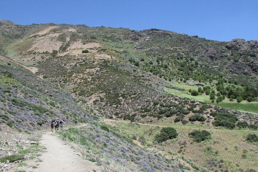 Andes Mountains 4