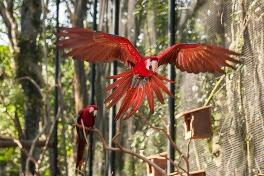 Bird Park 5