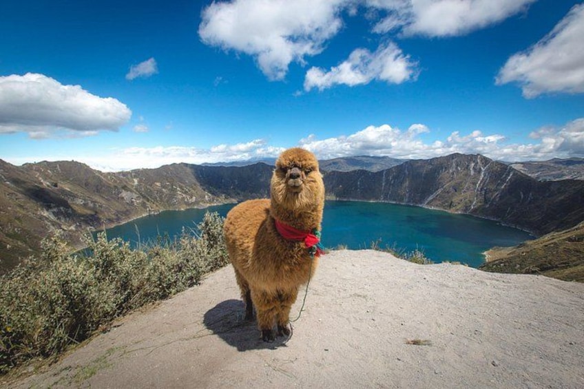 Quilotoa Lagoon and Indian Markets in One Day from Quito 1