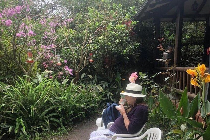 A person sitting on a chair in a garden with various plants and flowers. 2