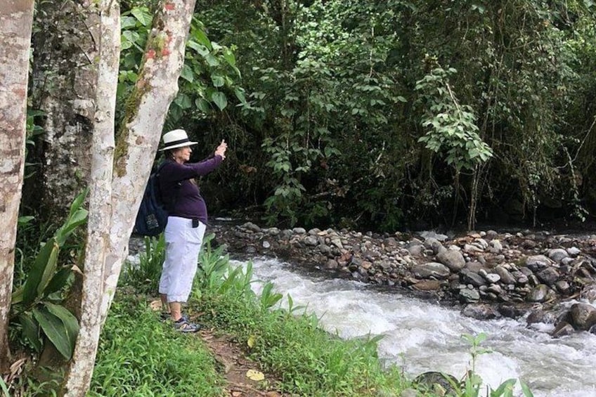 A person standing by a river with a rocky bed, surrounded by lush greenery and trees. 5