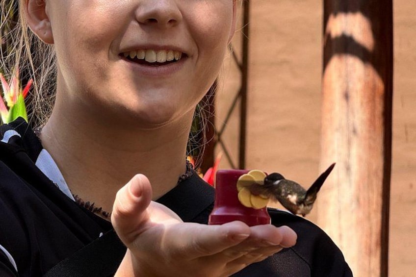 A person holding a hummingbird feeder with a hummingbird perched on it. 1