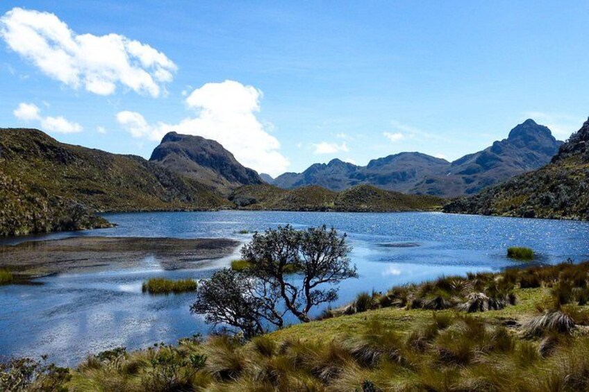 Patoquinoas Lake 4