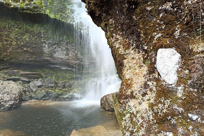 Une cascade d’eau qui dévale des rochers, au milieu d’un paysage recouvert de mousse. 3