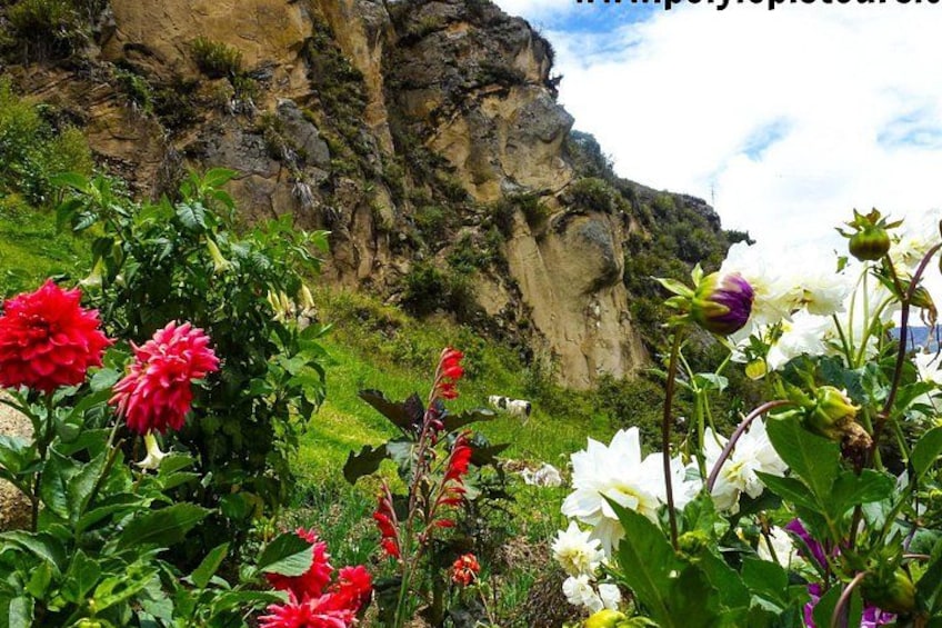 A rocky cliff with greenery and flowers in the foreground. 4