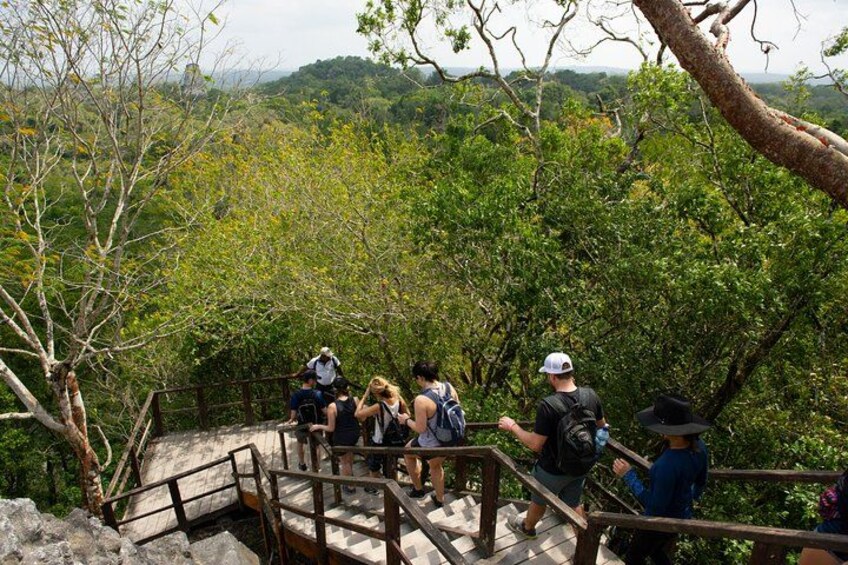 A group of hikers on a wooden staircase surrounded by dense forest. 3