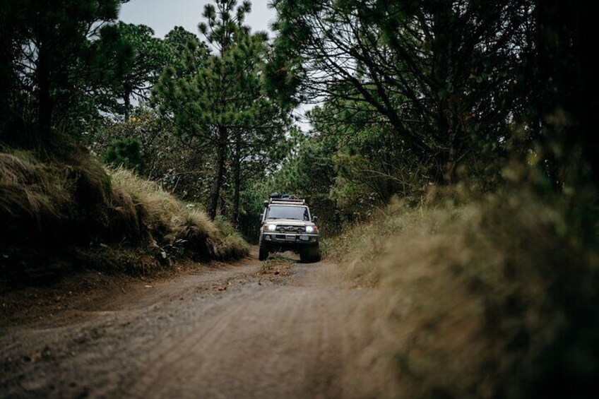 A vehicle on a dirt road surrounded by trees. 3