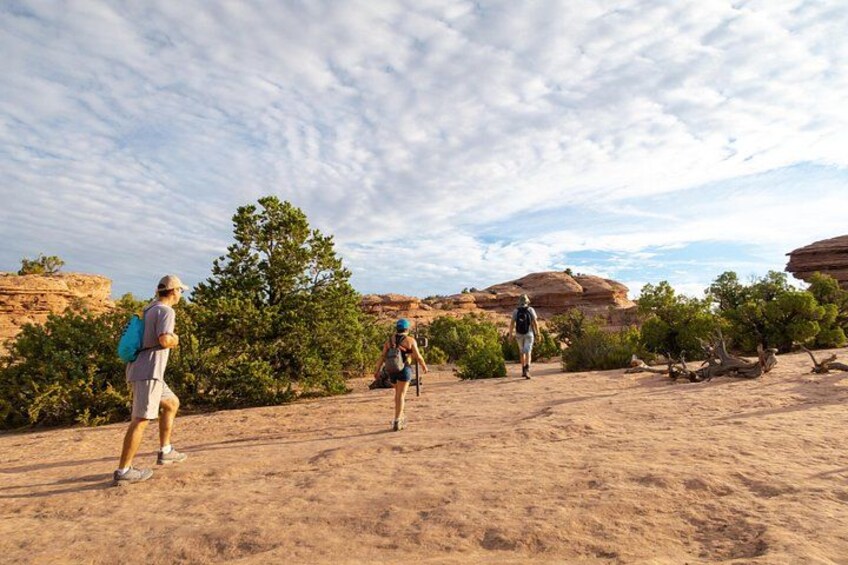 Two hikers walking on a sandy trail with sparse vegetation and rock formations in the background. 4