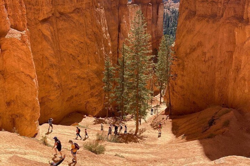 7-Day: Zion, Bryce, Monument Valley, Arches and Grand Canyon Tour 5