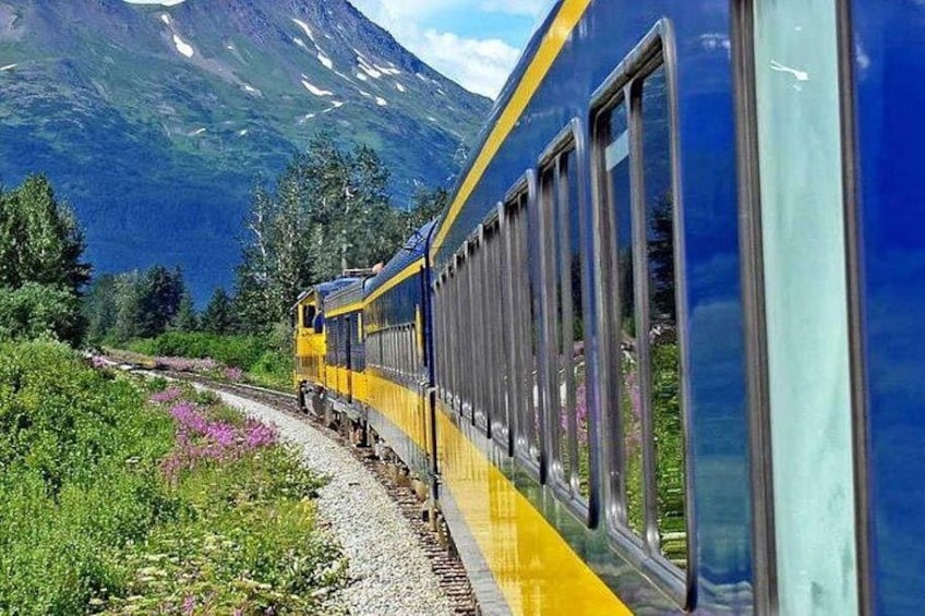 Alaska Railroad Anchorage to Seward One Way 2