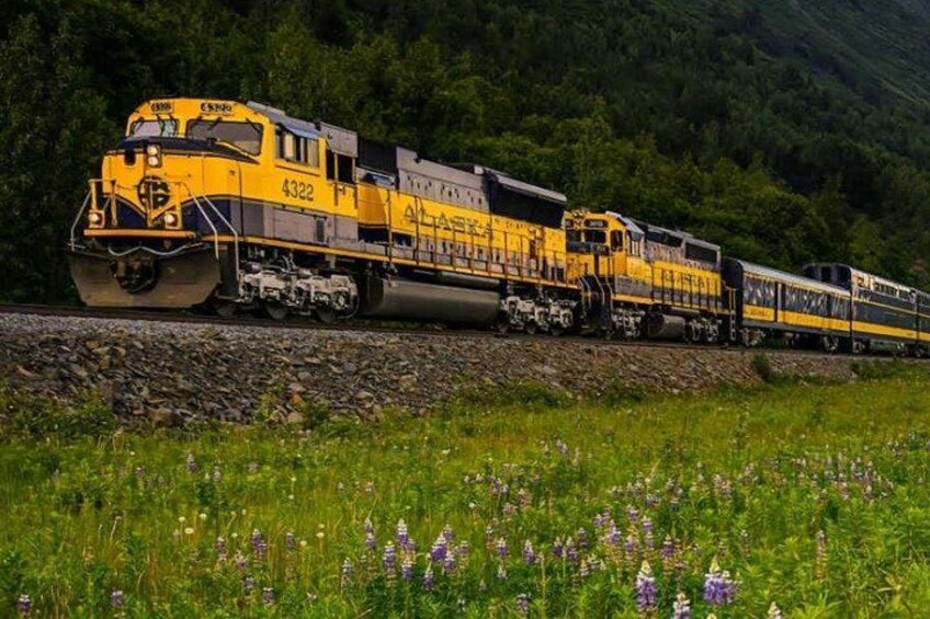 Alaska Railroad Anchorage to Seward One Way 2