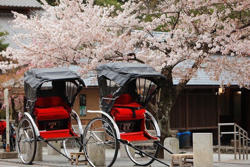 Two red and black rickshaws parked under a cherry blossom tree. 5