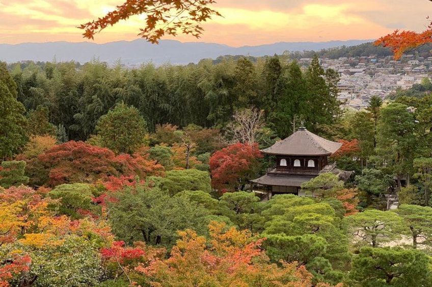 A traditional Japanese temple surrounded by autumn foliage. 3