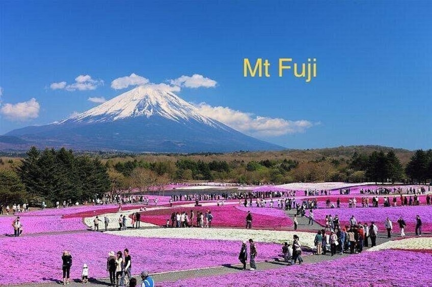 Mt Fuji with a crowd of people in front of it. 3