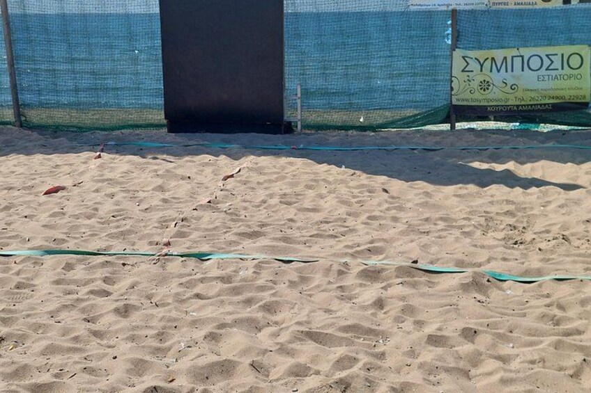 Fun with family's (sports or beach) from Katakolo Greece 5