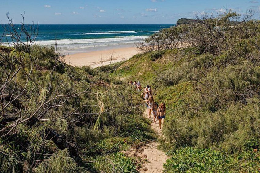 A coastal hiking trail with people walking, surrounded by dense vegetation and leading to a beach. 4