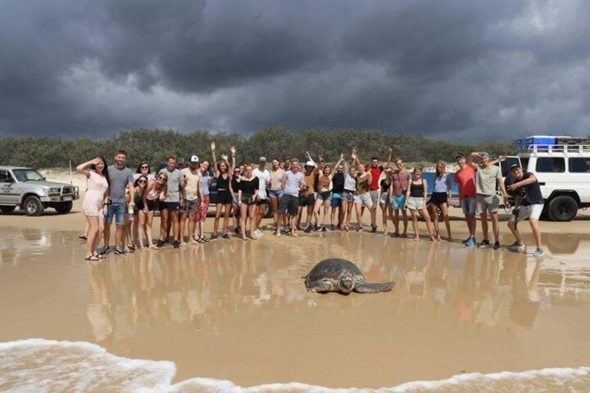 Turtle Spotting 4