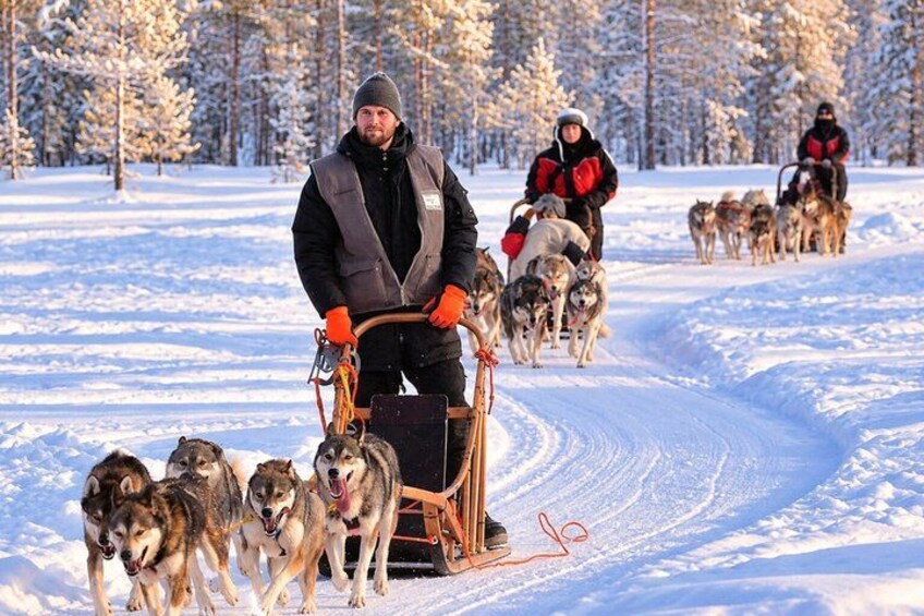 A person pulling a sled with dogs in a snowy landscape. 1