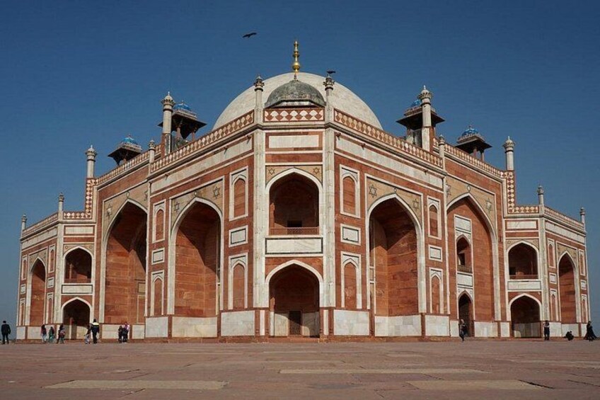 India's Golden Triangle Tour With Tigers 9 Days - ALL INCLUSIVE 2