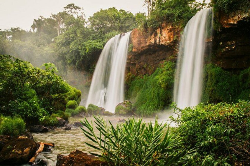 Une cascade entourée d’une végétation luxuriante. 3