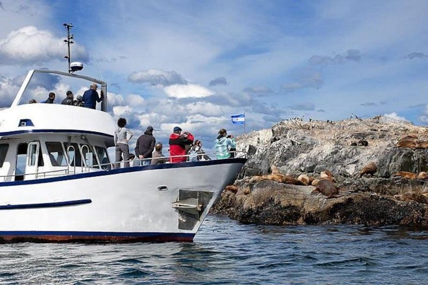 Beagle Channel Navigation on Yacht 4
