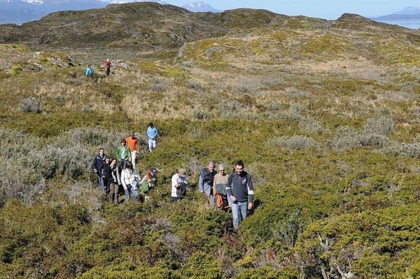 Beagle Channel Navigation on Yacht 3