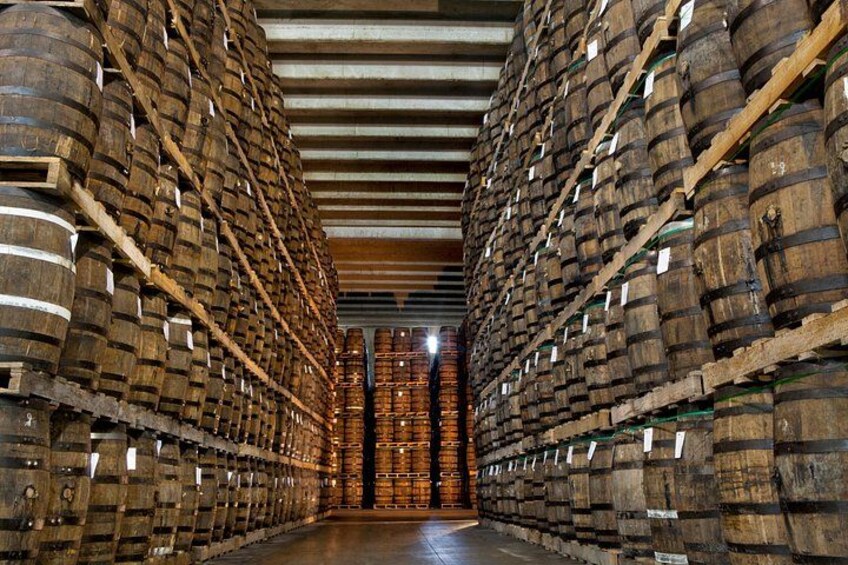 Ron Barcelo Anejo Experience Factory Tour 1