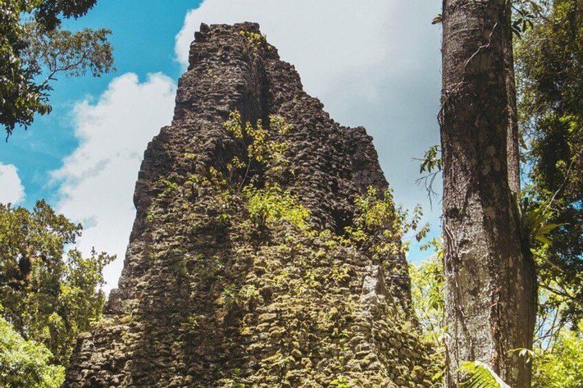 Tikal Small Group all Included From Flores 3