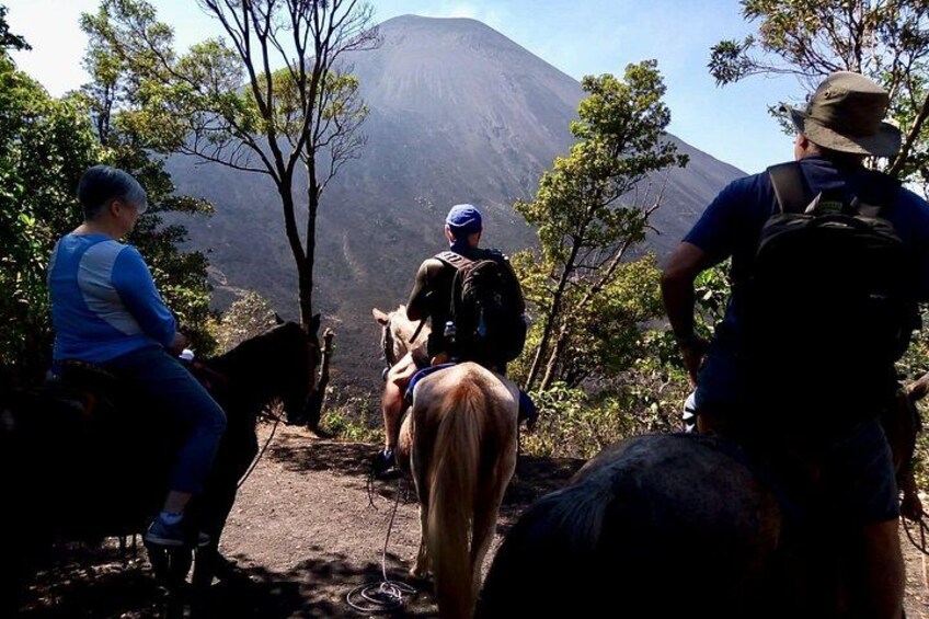 Day Tour to Pacaya Volcano from Antigua Guatemala on Private Vehicle 5