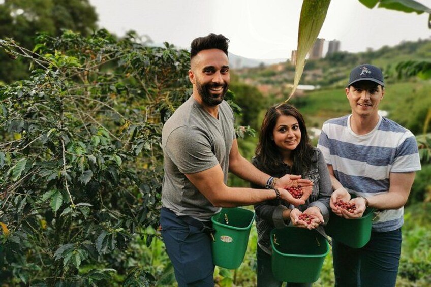Private Coffee & Horses Tour in Medellin: A Fun & Authentic Day 3