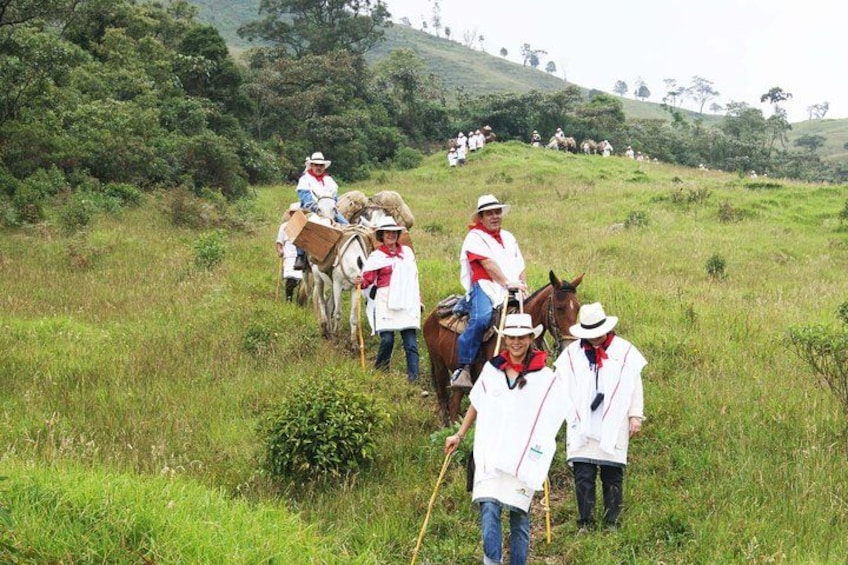 A group of people in white and red clothing walking with horses in a grassy field. 5