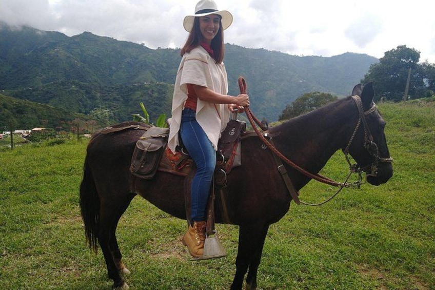 A person riding a horse in a grassy field with mountains in the background. 5