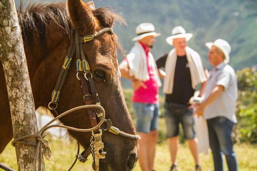 Coffee Tour In Horse Riding and Lunch In Medellin 3