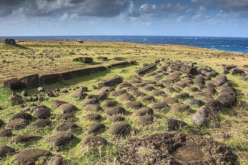 Un campo cubierto de hierba con piedras dispersas y un muro de piedra. 5