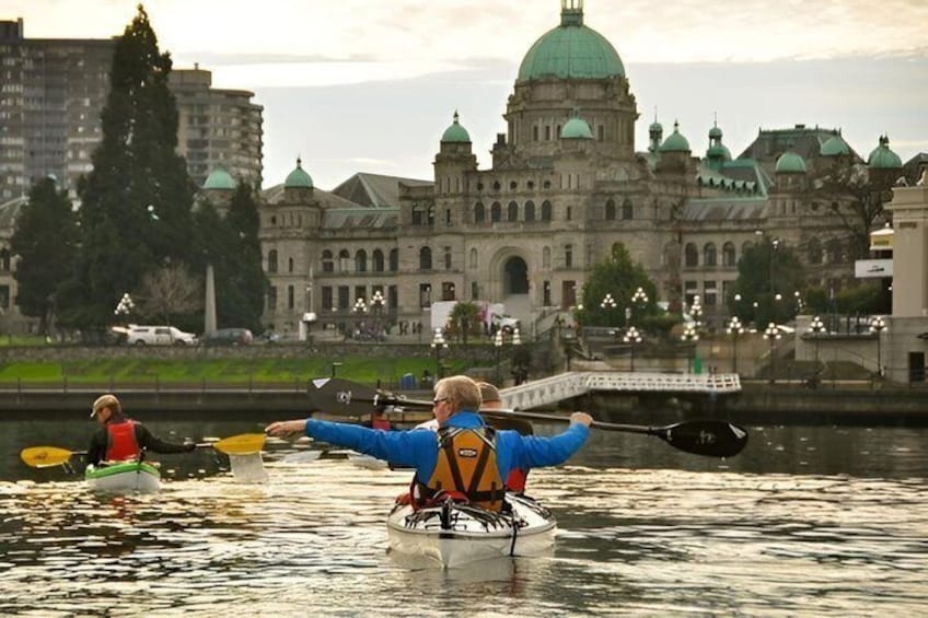 Victoria Harbour Kayak Tour 2