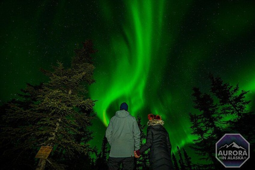 The Northern Lights: Earth's heartbeat in color. 4