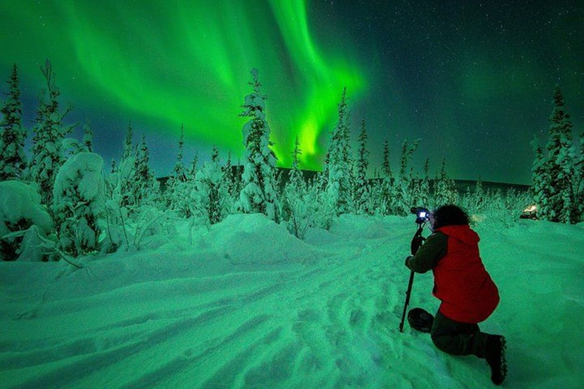Une personne portant une veste rouge prend une photo des aurores boréales dans une forêt enneigée. 1