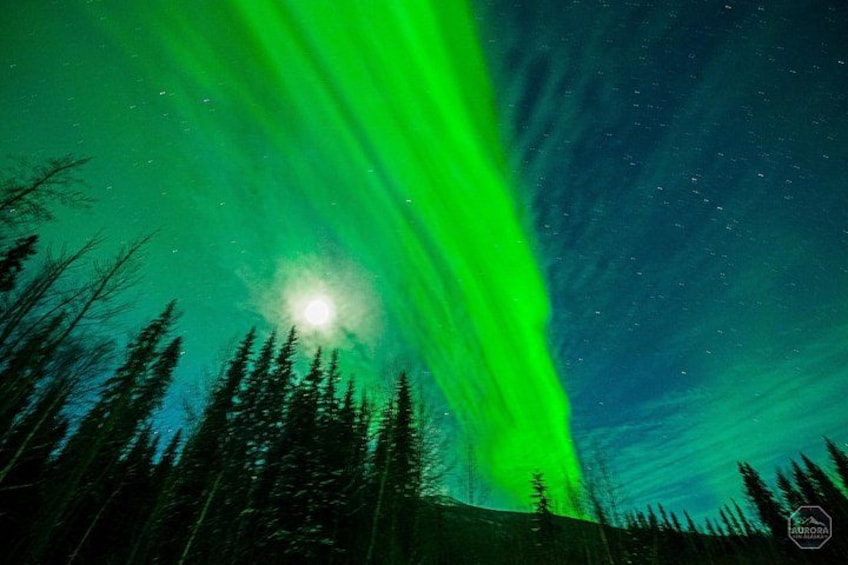 An aurora of dreams in the northern night. 3